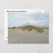 Zee Oats on Sand Dune Outer Banks NC Briefkaart (Voorkant / Achterkant)