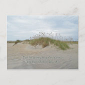 Zee Oats on Sand Dune Outer Banks NC Briefkaart (Voorkant)