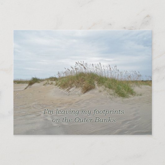 Zee Oats on Sand Dune Outer Banks NC Briefkaart (Voorkant)