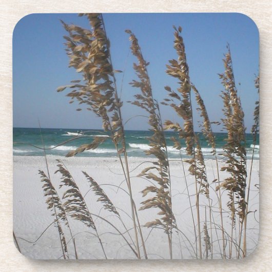 Zee Oats Onderzetters (Voorkant)