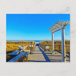 Zee Oats Sand & Surf! Hilton Head Island SC Briefkaart