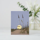 Zee Oats Uniola paniculata), met zand Briefkaart (Staand voorkant)