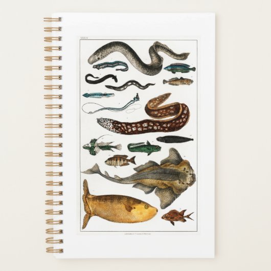 Zee Oceaan, strand, blauw Planner (Voorkant)