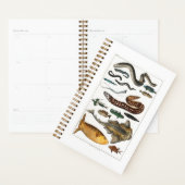 Zee Oceaan, strand, blauw Planner (Display)
