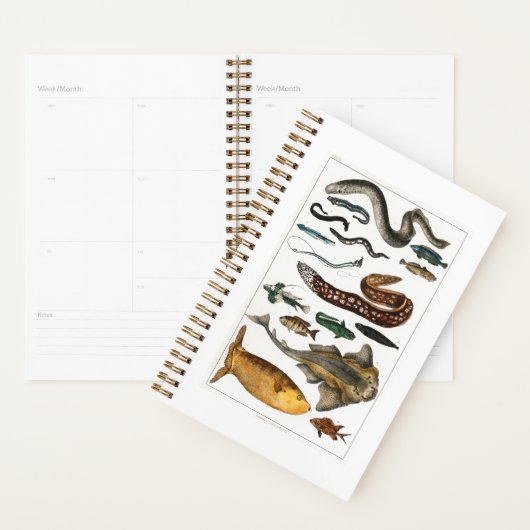 Zee Oceaan, strand, blauw Planner (Display)