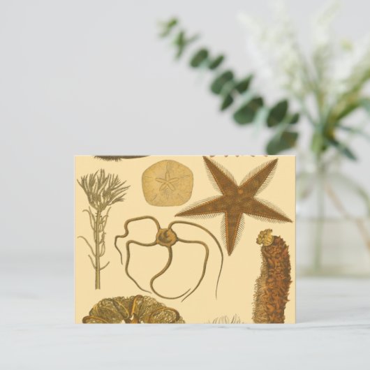 Zee onder water briefkaart (Staand voorkant)