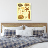 Zee onder water canvas afdruk (Insitu (Slaapkamer))