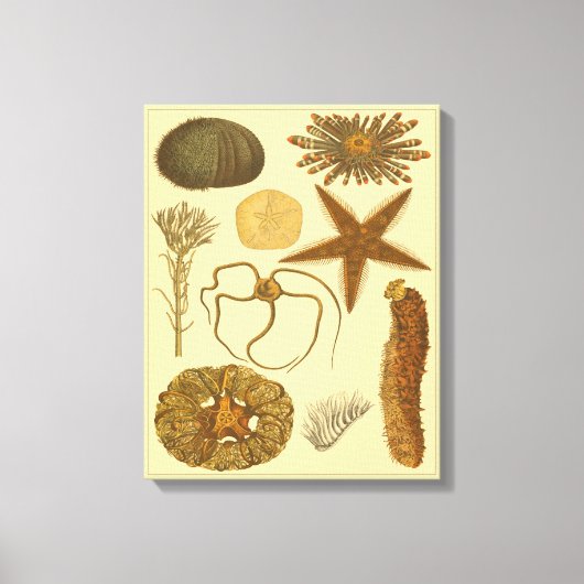 Zee onder water canvas afdruk (Voorkant)