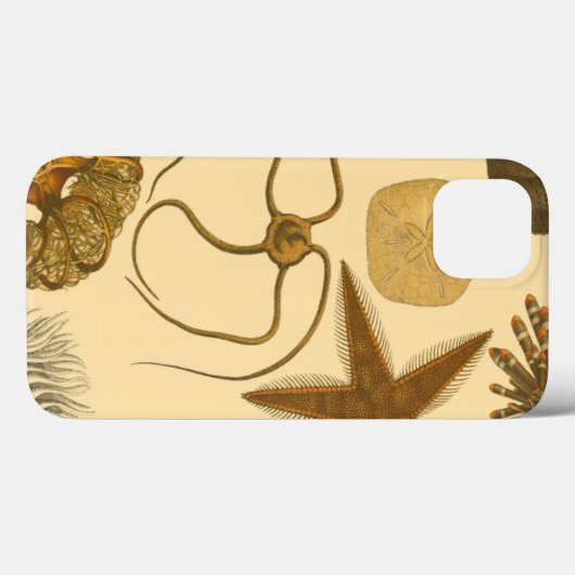 Zee onder water Case-Mate iPhone case (Achterkant (horizontaal))