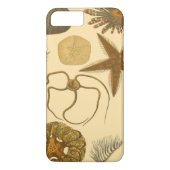 Zee onder water Case-Mate iPhone case (Achterkant)