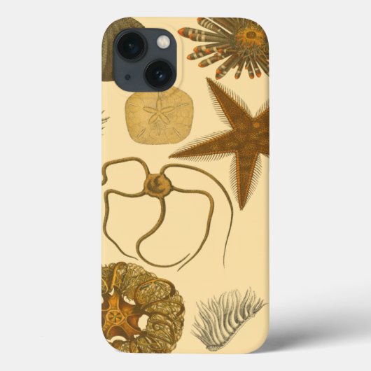 Zee onder water Case-Mate iPhone case (Achterkant)