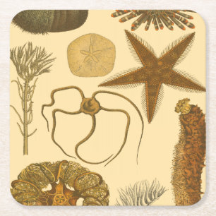 Zee onder water kartonnen onderzetters