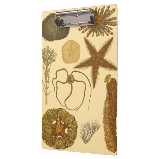 Zee onder water klembord (Links)