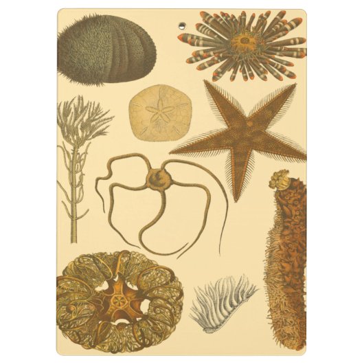 Zee onder water klembord (Achterkant)