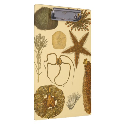 Zee onder water klembord (Rechts)