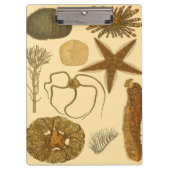 Zee onder water klembord (Voorkant)