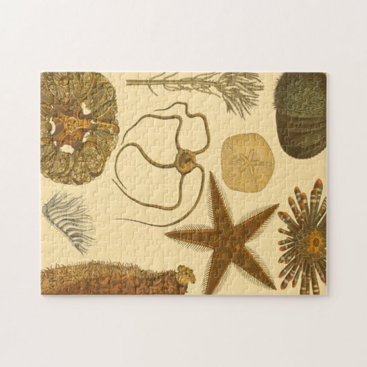 Zee onder water legpuzzel (Horizontaal)