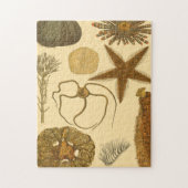 Zee onder water legpuzzel (Verticaal)