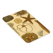 Zee onder water magneet (Rechterzijde)