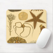 Zee onder water muismat (Met muis)
