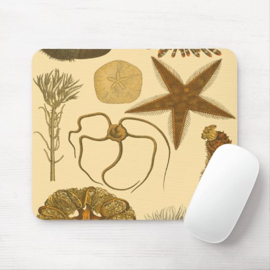 Zee onder water muismat (Met muis)