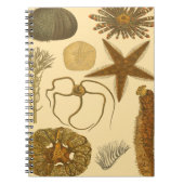 Zee onder water notitieboek (Voorkant)