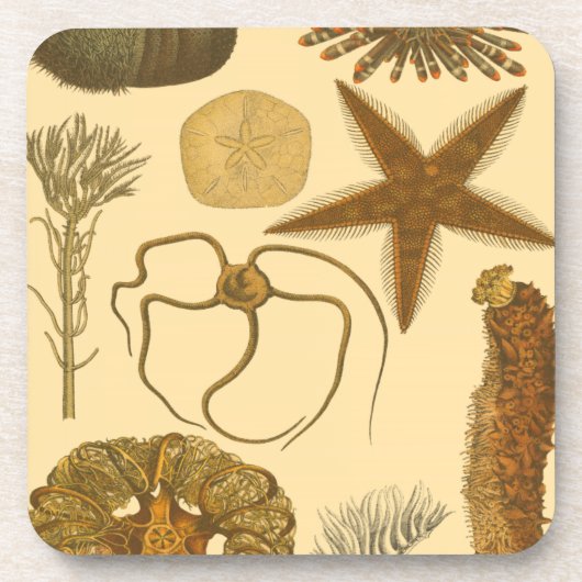 Zee onder water onderzetter (Voorkant)