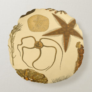 Zee onder water rond kussen