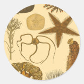 Zee onder water ronde sticker (Voorkant)