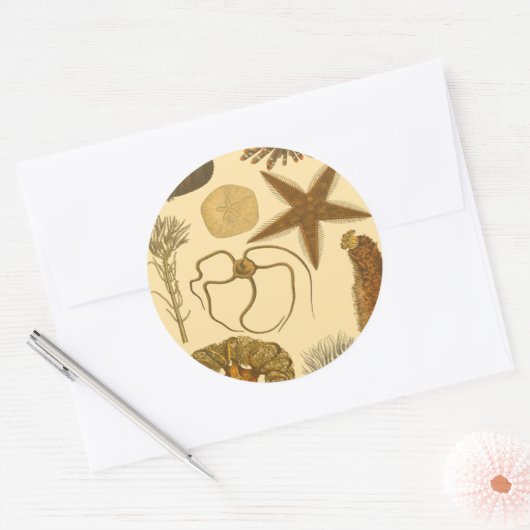 Zee onder water ronde sticker (Envelop)