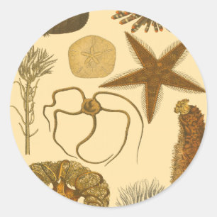 Zee onder water ronde sticker