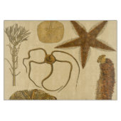 Zee onder water snijplank (Voorkant)