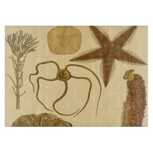 Zee onder water snijplank (Voorkant)