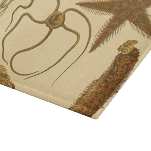 Zee onder water snijplank (Hoek)