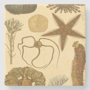 Zee onder water stenen onderzetter