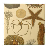 Zee onder water tegeltje (Voorkant)