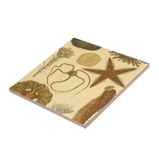 Zee onder water tegeltje (Zijkant)