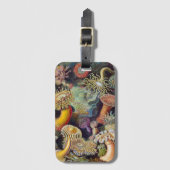  Zee onderwater Anemones door Ernst Haeckel Bagagelabel (Voorkant (verticaal))