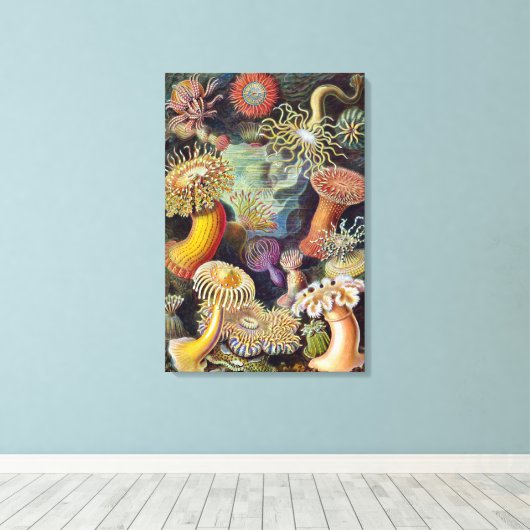 Zee onderwater Anemones door Ernst Haeckel Canvas Afdruk (Insitu (Houten vloer))