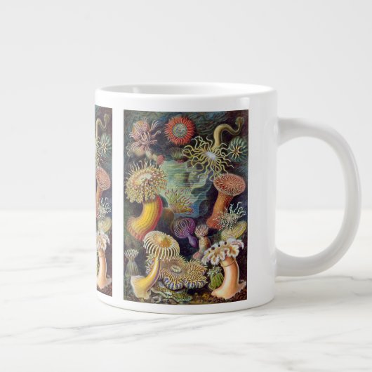  Zee onderwater Anemones door Ernst Haeckel Grote Koffiekop (Rechts)