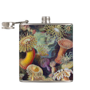 Zee onderwater Anemones door Ernst Haeckel Heupfles
