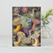  Zee onderwater Anemones door Ernst Haeckel Kaart (Staand voorkant)
