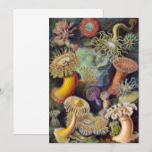  Zee onderwater Anemones door Ernst Haeckel Kaart (Voorkant / Achterkant)