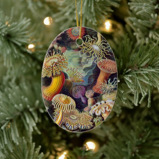  Zee onderwater Anemones door Ernst Haeckel Keramisch Ornament (Boom)