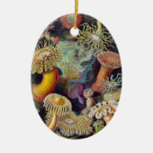  Zee onderwater Anemones door Ernst Haeckel Keramisch Ornament (Voorkant)