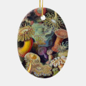  Zee onderwater Anemones door Ernst Haeckel Keramisch Ornament (Achterkant)