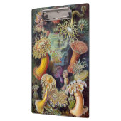  Zee onderwater Anemones door Ernst Haeckel Klembord (Links)