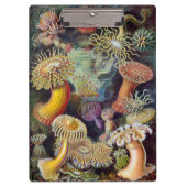  Zee onderwater Anemones door Ernst Haeckel Klembord (Voorkant)