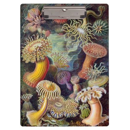 Zee onderwater Anemones door Ernst Haeckel Klembord (Voorkant)