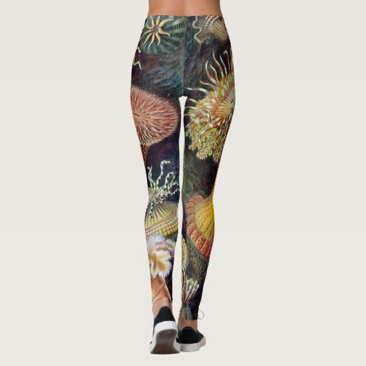  Zee onderwater Anemones door Ernst Haeckel Leggings (Achterkant)